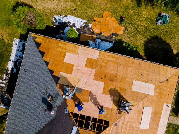Quick and Trustworthy Emergency Roof Repair Services in Snohomish, WA